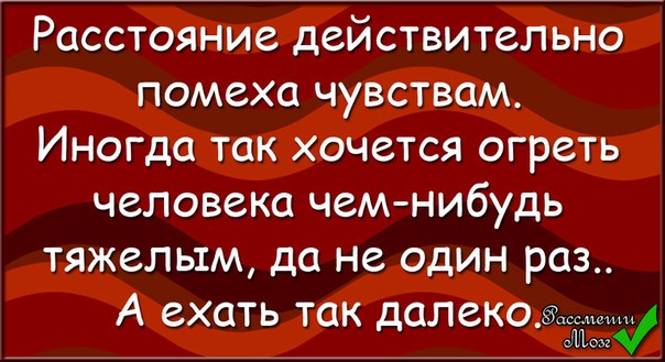 Теледильдоника: когда расстояние не помеха - Лучшие секс-игрушки