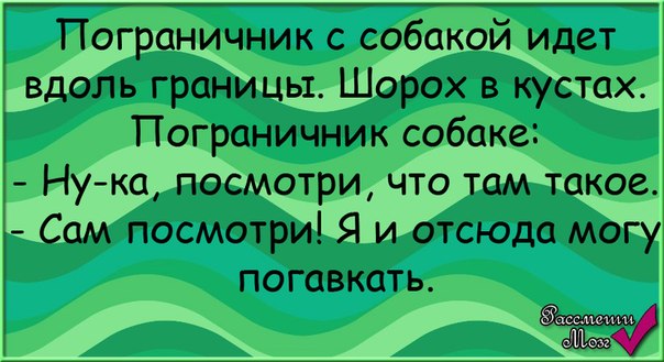 Анекдоты про пограничников в картинках