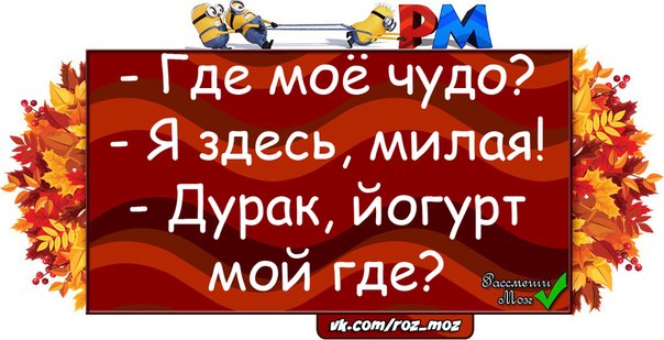 Ты мое чудо. Анекдот про 7 ноября. Где мое чудо юмор. Обращение чудо моё. Что здесь милого.