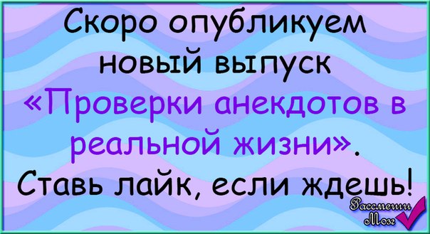 Проверявший шутке. Анекдот про проверку. Анекдот про реально и виртуально. Анекдот про аудит.