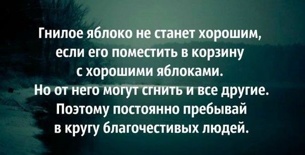 Гнилые люди картинки со смыслом с надписями