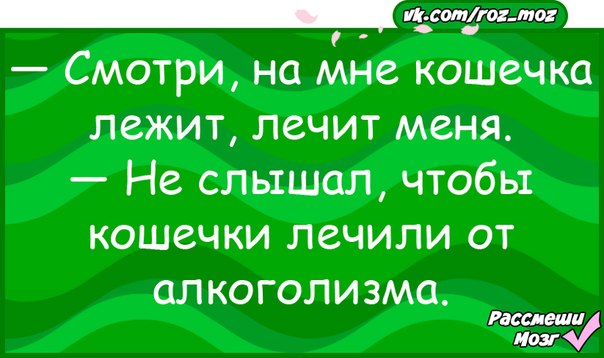 Лежу лечусь. Рассмеши мозг. Рассмеши мозг анекдоты в картинках. Анекдот про курицу.