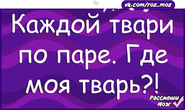 Картинка каждой твари по паре