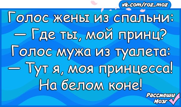 Анекдоты 24. Анекдот про 69. Где мой принц. Анекдот про 69 позицию. Насмешить коня.