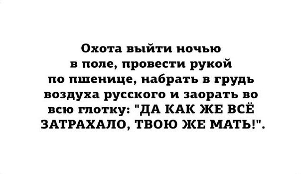 Хочу выйти. Хочется выйти в поле и заорать. Хочется выйти в поле и закричать. Хочется выйти и закричать. Хочется выйти в лес и поорать.