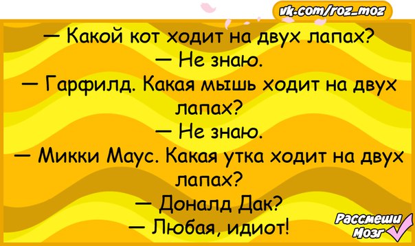 С двумя хожу. Какрй кот холит на двух лапах. Какая утка ходит на двух лапах. Какая мышь ходит на двух ногах. Какой кот ходит на двух ногах.