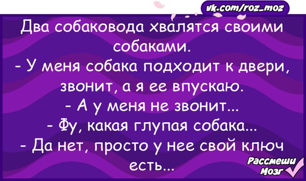 Шутки 24. Анекдоты 80х. Анекдоты 80. Анекдоты 80-х годов. Шутки из 80.