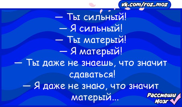 Что такое матерая. Ты сильная ты матерая. Я сильный я матерый. Даже не знаю что такое матерый. Ты сильный ты матерый я даже не знаю.