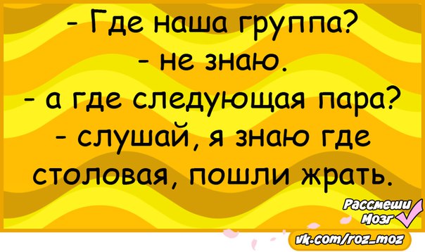 Самые тупые анекдоты. Тупые анекдоты. Самые тупые но смешные анекдоты. Шутки 13.