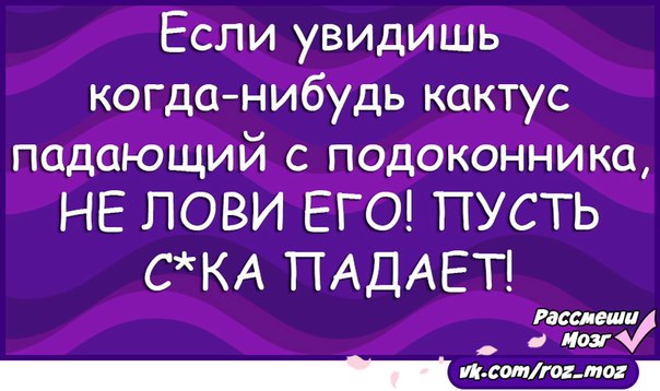 Какой нибудь видела. Упал на Кактус прикол. Если видите падающий Кактус.