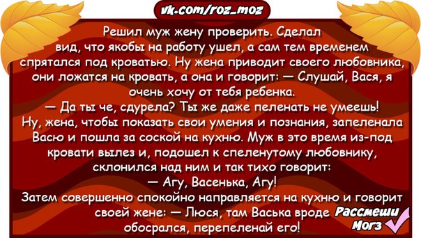 Цветень васенька. Анекдот про АГУ. АГУ Васенька АГУ анекдот. Решил муж жену проверить. Васенька обосрался анекдот.