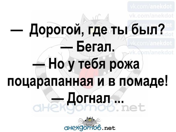 Дорогой где ты был. Дорогой где ты был бегал. Дорогой где ты был бегал прикол. Дорогой где был. Дорогой ты где.