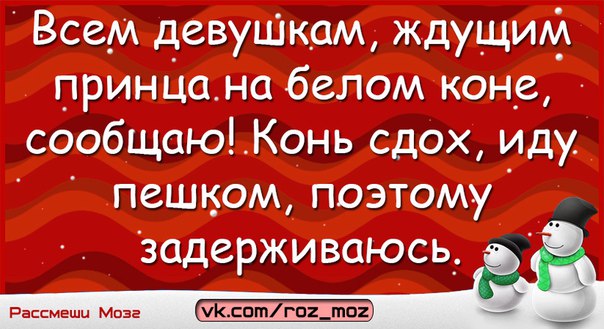 Всем девчонкам нужен тот с кем. Всем женщинам ждущим принца на белом коне сообщаю. Девушки которые ждут принца на белом коне сообщаю. Всем девушкам ждущим принца на белом коне сообщаю конь. Конь издох иду пешком.