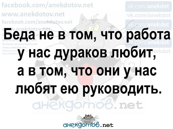 Работа дураков любит картинки прикольные