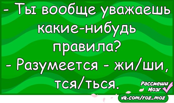 Нибудь правило. Анекдоты из ВК. Анекдоты ВКОНТАКТЕ. Приколы из ВК анекдоты. Анекдоты на картинках ВК.