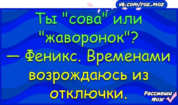 Рассмеши мозг анекдоты в картинках