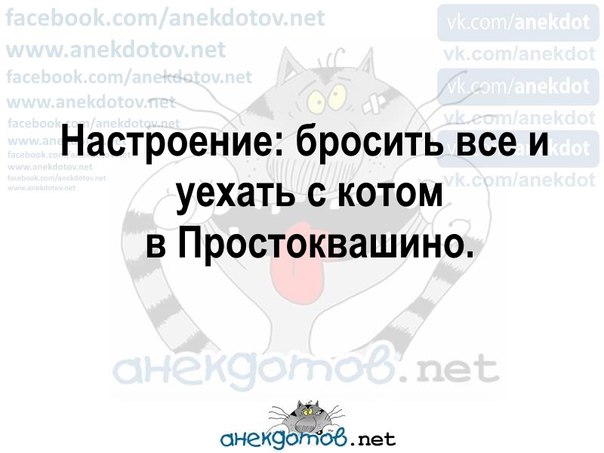 Настроение бросить все и уехать с котом в простоквашино картинки