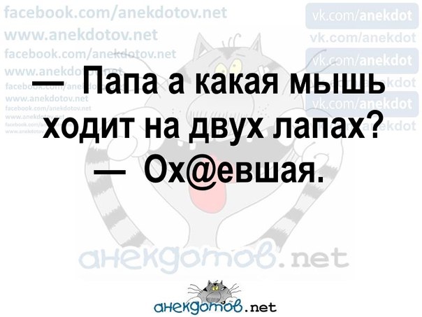 Мышь на двух ногах загадка. Какая мышь ходит на двух ногах. Какая СИШ ходит налвух Погах. Какая мышь ходит на двух ногах загадка. Какая мышь ходит на двух лапах.