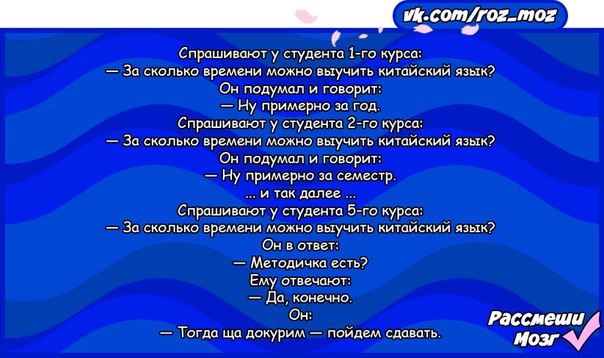 Сдать язык. Анекдот про студента и китайский язык. Анекдот про китайский язык и методичку. Шутки про методички. Анекдот а методичка есть.