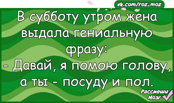 Субботняя жена 2023. В субботу утром жена выдала гениальную фразу. Утром жена выдала гениальную фразу Дима.