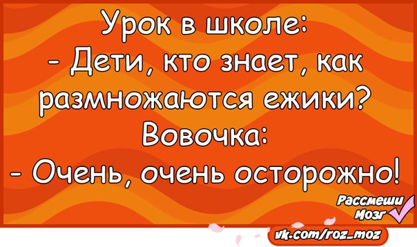 Штирлиц как размножаются. Анекдоты 16. Операция Игельс или как размножаются ежики. Штирлиц или как размножаются Ёжики. Как размножаются Ёжики или похождения Штирлица.