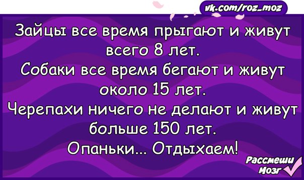 Жили 8. Зайцы все время прыгают. Зайцы все время прыгают и живут 8 лет. Анекдот про 28 лет. Заяц все время бегает.