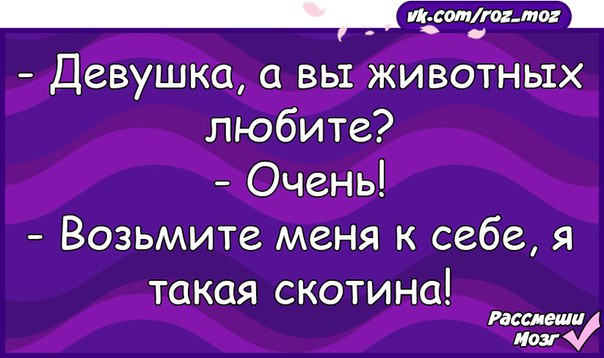 Берете и любите. Девушка вы животных любите. Девушка вы животных любите возьмите меня. Я такая скотина. Возьмите меня я такая скотина.