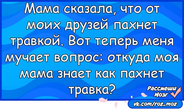 Мама сказала деньги. Мама сказала в бидоне анекдот. Деньги в бидончике анекдот. Анекдот про бидон. Деньги в бидоне анекдот.