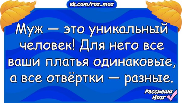 Вашему челу. Муж это уникальный человек для него все ваши платья. Для мужчин все платья одинаковые а отвертки разные.