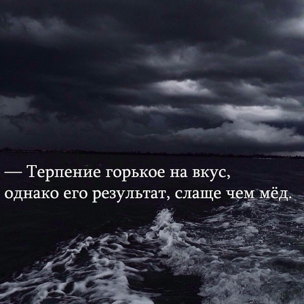 Ошибка в песне о терпении. Терпение горькое на вкус но его результат. Афоризмы о вкусах. Терпение горькое на вкус однако его. Терпение.