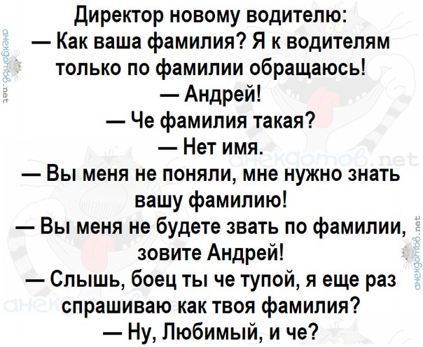 Фамилия любимый. Анекдот про фамилию любимый. Анекдот про водителя с фамилией любимый. Директор новому водителю как ваша фамилия. Фамилия любимый прикол.