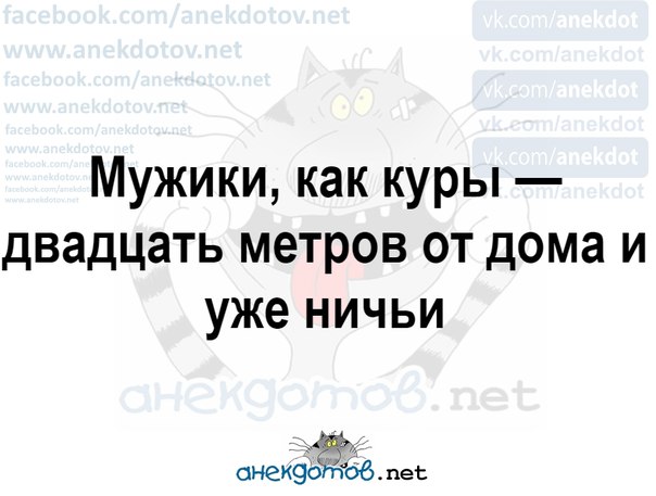 Мужики как куры 20 метров от дома и уже ничьи картинки