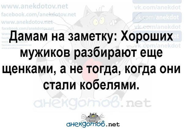 Должен хорошо разбираться. Хороших мужиков разбирают еще щенками. Хороших мужчин разбирают ещё щенками. Хороших разобрали еще щенками разобрали мужиков. Нормальных мужиков разобрали щенками.