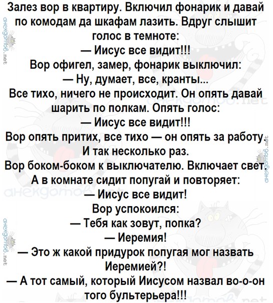 Иисус анекдот. Анекдот про попугая и грабителя. Иисус все видит анекдот. Анекдот про попугая и собаку и вора. Христос все видит анекдот попугай.