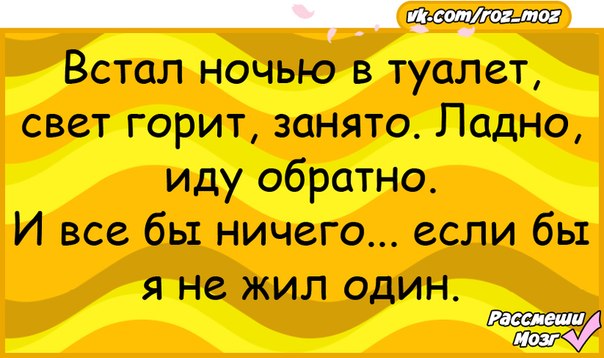 В туалете свет горит. Анекдоты 12 +. Самые смешные анекдоты 12 плюс.