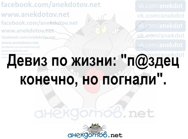 Суть п. Страшно конечно но погнали. Картинка страшно но погнали. Пиздец конечно но погнали гифки. Живу по принципу страшно но погнали.