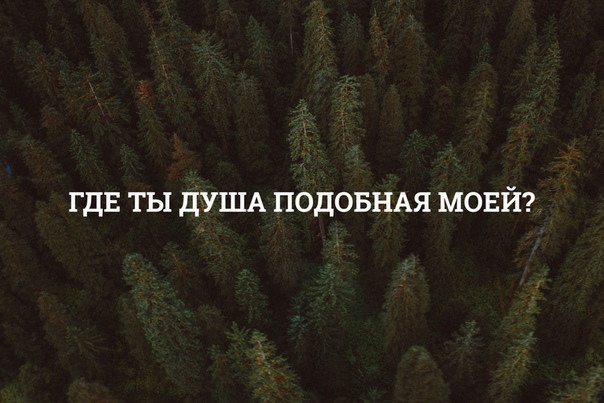 Похожи души. Души ищут себе подобных цитата. Где душа подобная моей. Где же душа подобная моей. Где ты моя душа подобная моей.