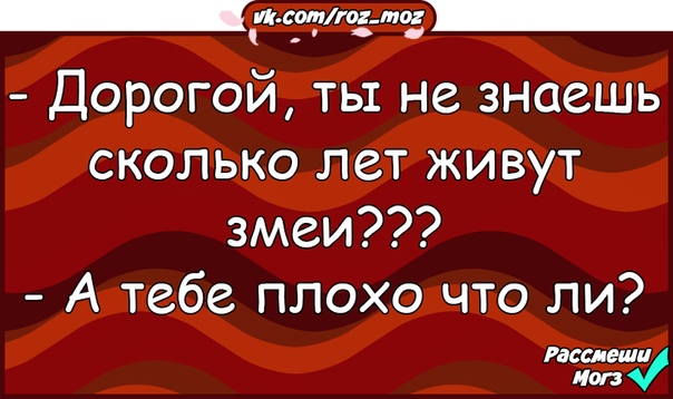 Теперь без сил а ты змея. Милый ты не знаешь сколько живут змеи.