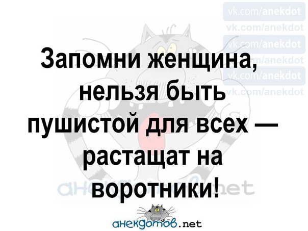 Нельзя быть для всех пушистой растащат на воротники картинка