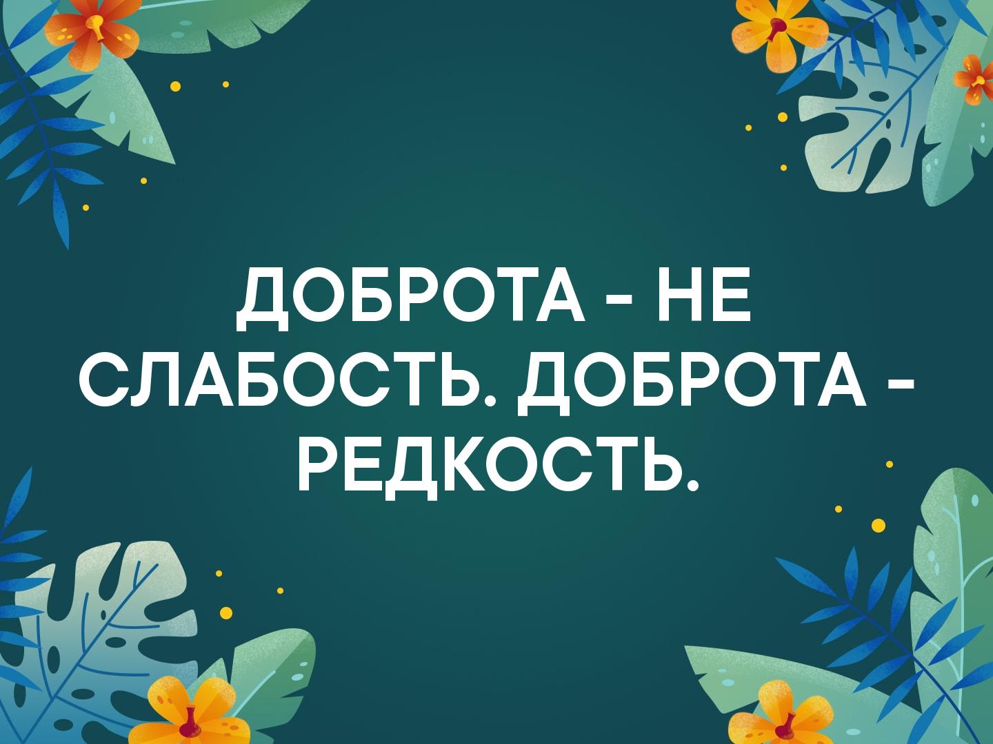 Не принимайте доброту за слабость картинка