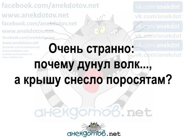 Почему дунул волк а крышу снесло поросятам. Дунул волк а крышу снесло поросятам. Почему дул волк а крышу снесло поросятам. Почему дунул волк а крышу снесло поросятам смешной ответ. Почему дунул волк а крышу снесло поросятам ответ.