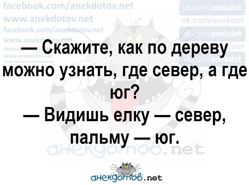 Анекдотов н. Анекдотов.net. Анекдотов net anekdotov.