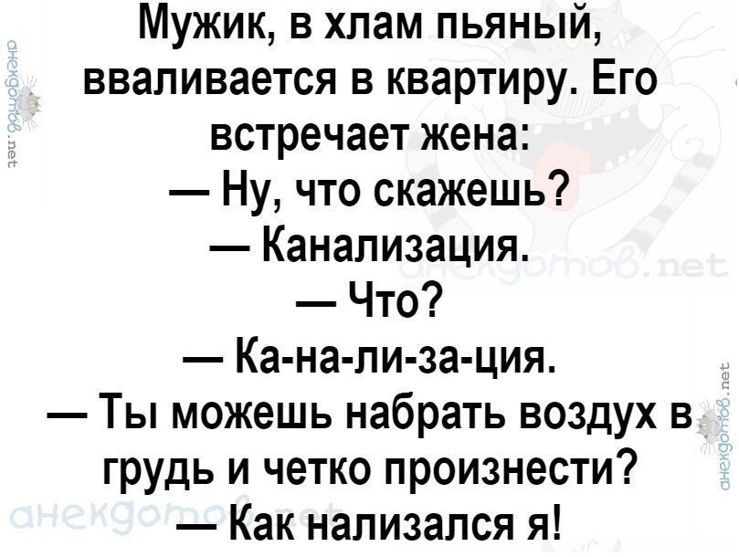 Анекдот свинья в каске. Анекдот про свинью и пиратов.