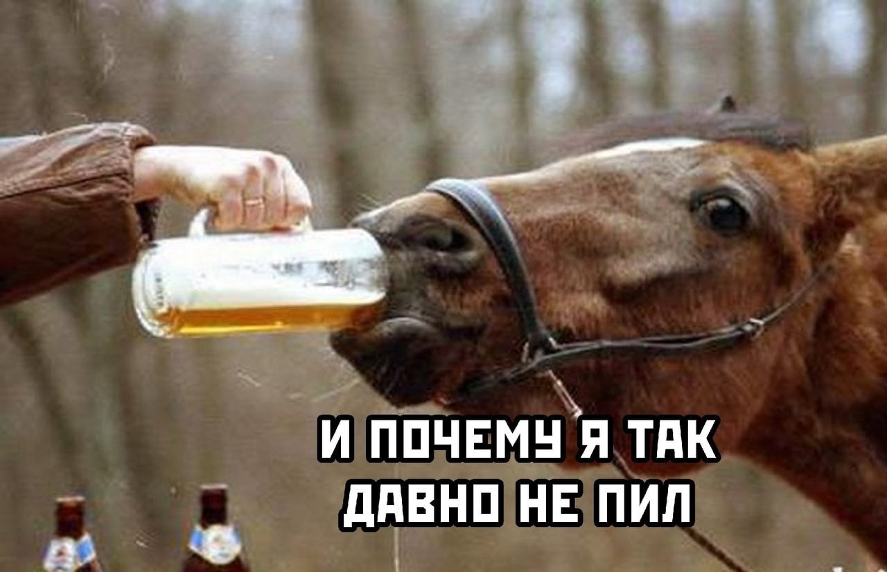Пьяная лошадь