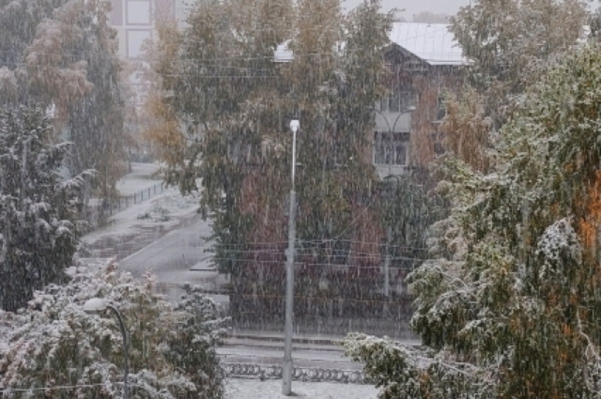 В россии выпадет снег. Снег в Кузбассе. Снегопад в Кемерово. Кузбасс зимой снег. Выпал снег.