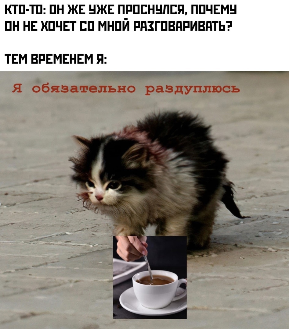 Раздуплиться это