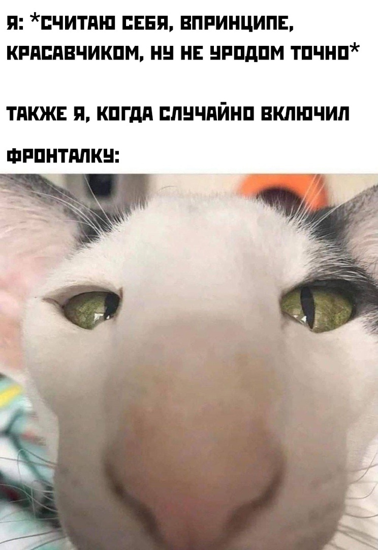 Id смешных картинок