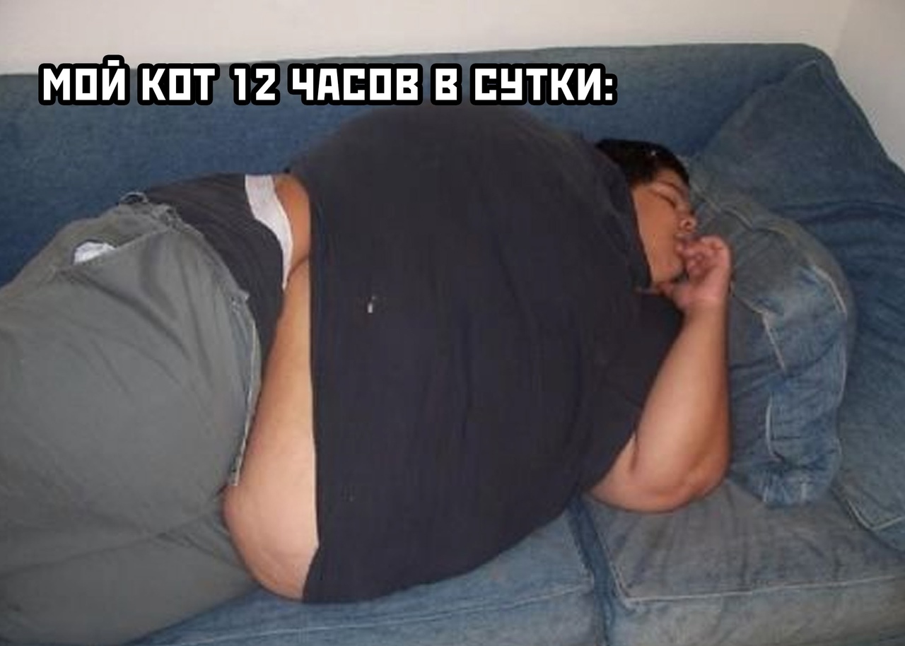 Спящий толстый человек