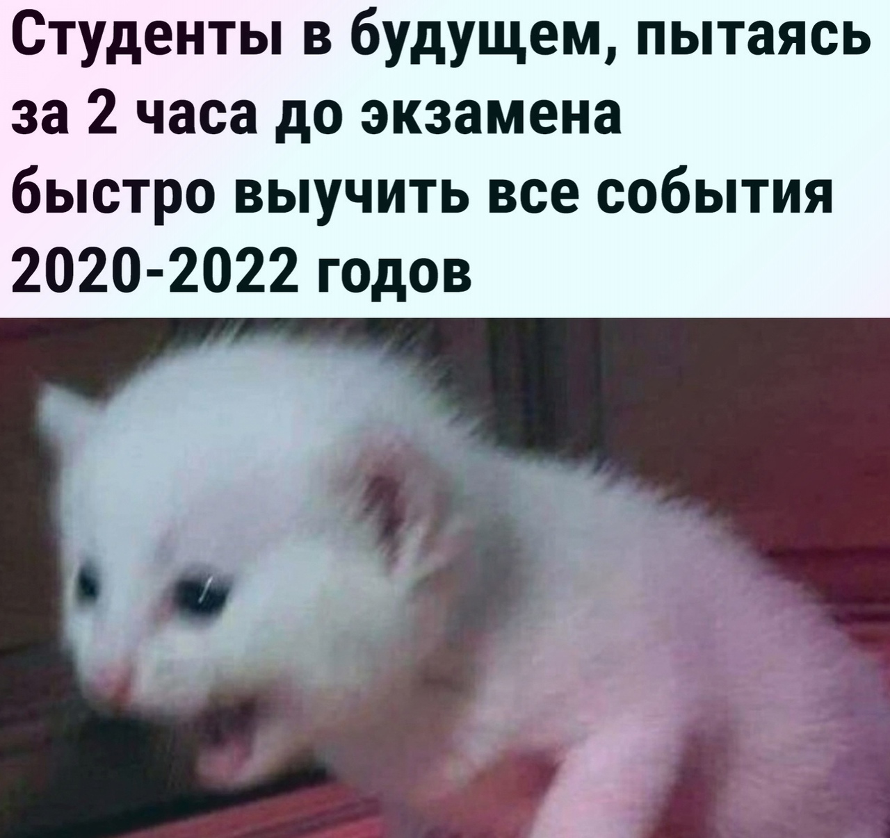 Приколы 2023 года картинки